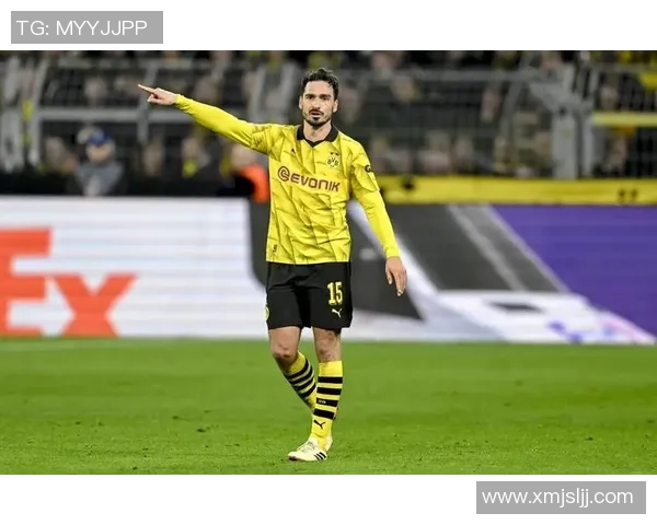 全球足球球星历史进球榜单解析及排名前十的精彩表现